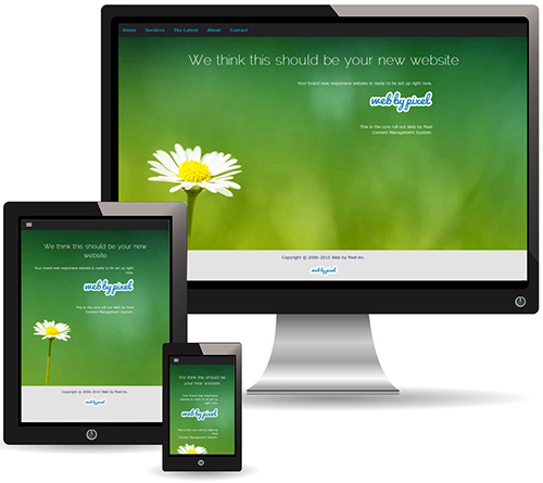 Web by Pixel Demo website